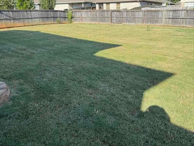 Lawn Care service in Harvest, 35749
