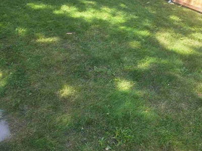 Lawn Care service in Wheaton, 60187