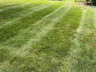 Lawn Care service in Wheaton, 60187