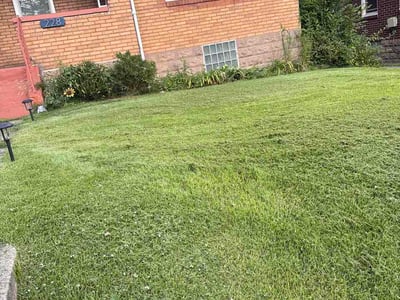 Lawn Care service in Monongahela, 15063