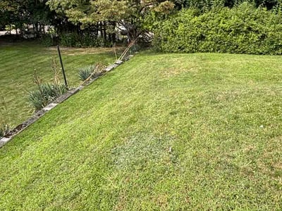 Lawn Care service in Monongahela, 15063