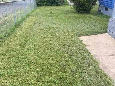 Lawn Care service in Rock Hill, 29730