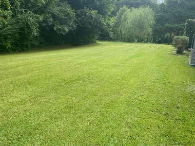 Lawn Care service in Anniston, 36201
