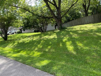 Lawn Care service in Steubenville, 43952