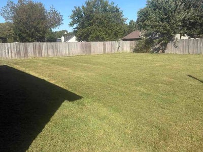 Lawn Care service in Cabot, 72023
