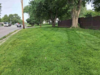 Lawn Care service in Prairie Village, 66208