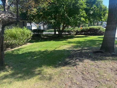 Lawn Care service in Prairie Village, 66208