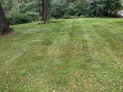 Lawn Care service in Sun Prairie, 53590