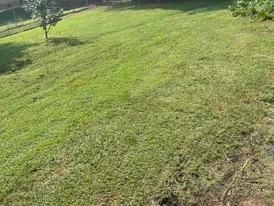 Lawn Care service in Sevierville, 37862
