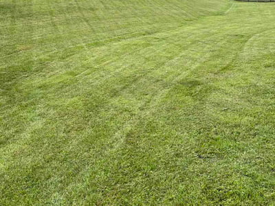 Lawn Care service in Sevierville, 37862