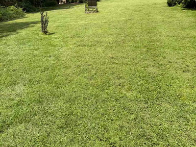 Lawn Care service in Weaverville, 28787
