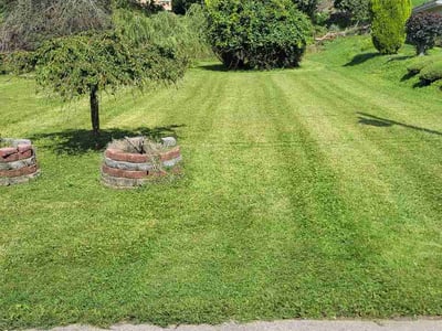 Lawn Care service in McKees Rocks, 15136