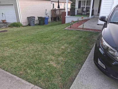 Lawn Care service in Winchester, 40391