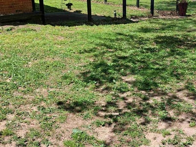 Lawn Care service in Nassau County, 11566