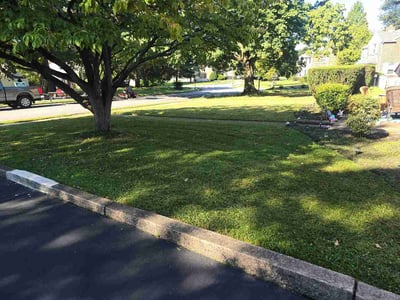 Lawn Care service in Springfield, 19064