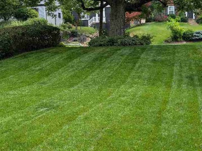 Lawn Care service in Kittanning, 16201