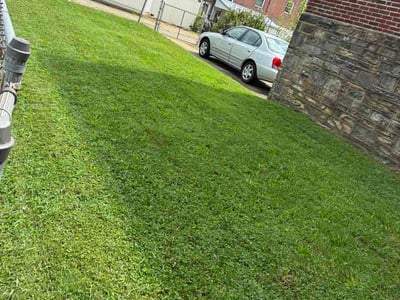 Lawn Care service in Springfield, 19064