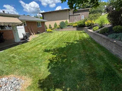 Lawn Care service in Canonsburg, 15317