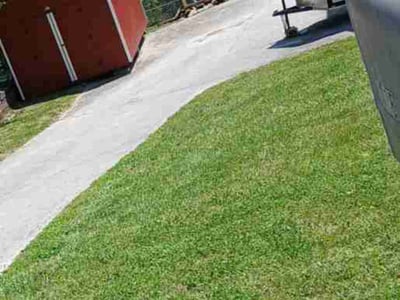 Lawn Care service in Clinton, 37716