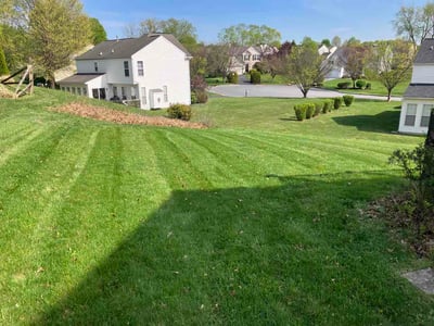 Lawn Care service in Coatesville, 19320