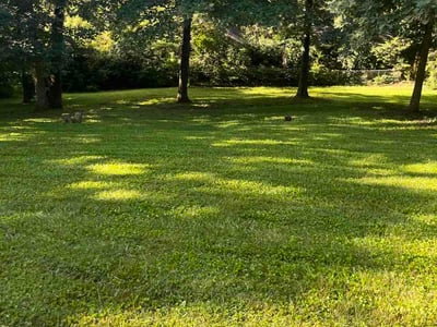 Lawn Care service in Clinton, 37716