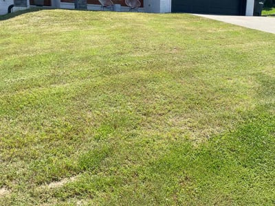 Lawn Care service in Maumelle, 72113