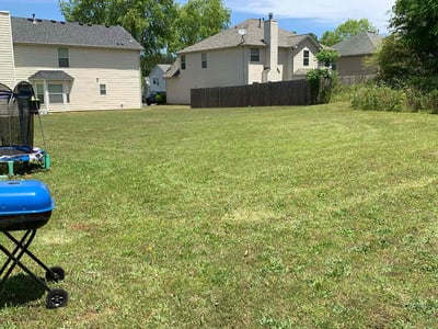 Lawn Care service in Tolleson, 85353