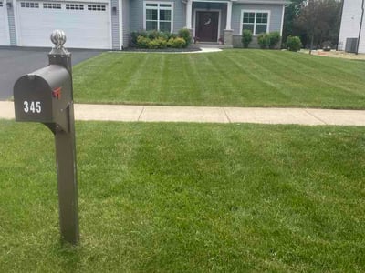 Lawn Care service in Dekalb, 60115