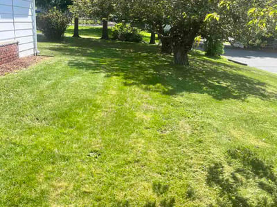 Lawn Care service in Tunkhannock, 18657
