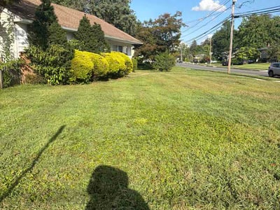 Lawn Care service in Cherry Hill, 08002