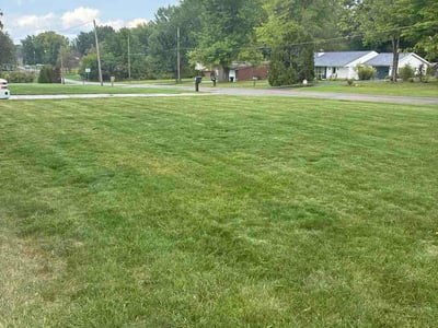 Lawn Care service in New Castle, 16101