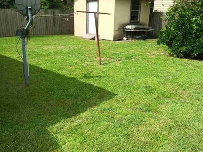 Lawn Care service in Dalton, 30720