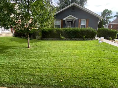 Lawn Care service in Jefferson City, 65101