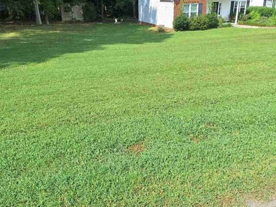 Lawn Care service in Denver, 28037
