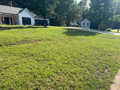 Lawn Care service in Winder, 30680