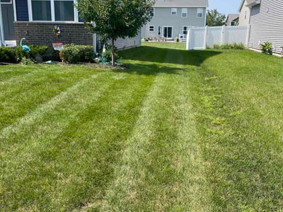 Lawn Care service in Oak Forest, 60452