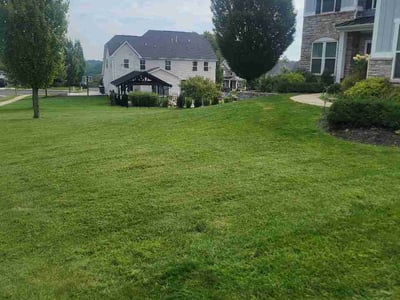 Lawn Care service in Connellsville, 15425