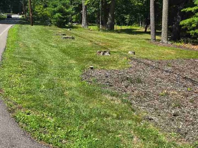 Lawn Care service in Connellsville, 15425