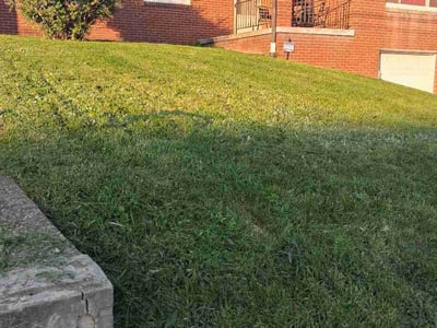 Lawn Care service in Connellsville, 15425