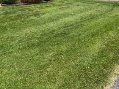 Lawn Care service in Monroeville, 15146