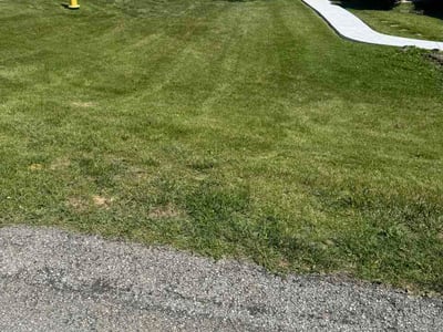 Lawn Care service in Monroeville, 15146