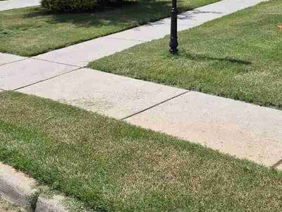 Lawn Care service in Toney, 35773