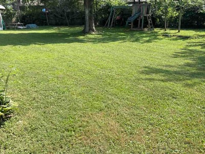 Lawn Care service in Mckeesport, 15132