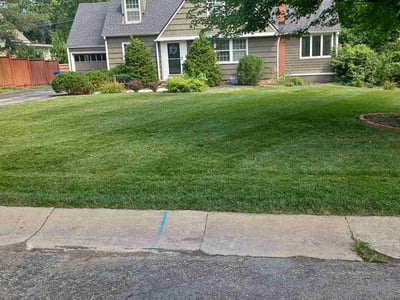 Lawn Care service in Mission, 66202