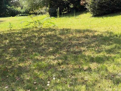 Lawn Care service in Fairfield, 35064