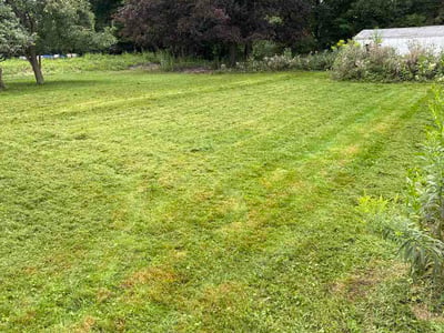 Lawn Care service in Canandaigua, 14424