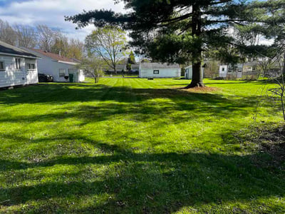 Lawn Care service in Canandaigua, 14424