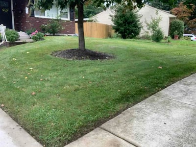 Lawn Care service in Sicklerville, 08081
