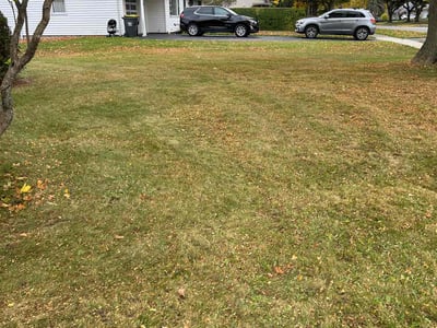 Lawn Care service in Canandaigua, 14424