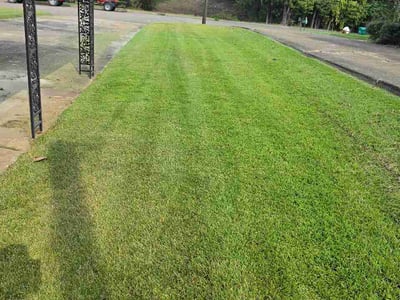 Lawn Care service in ,